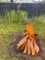 Wir suchen Kleingarten, Schrebergarten, Garten Hessen - Kelsterbach Vorschau