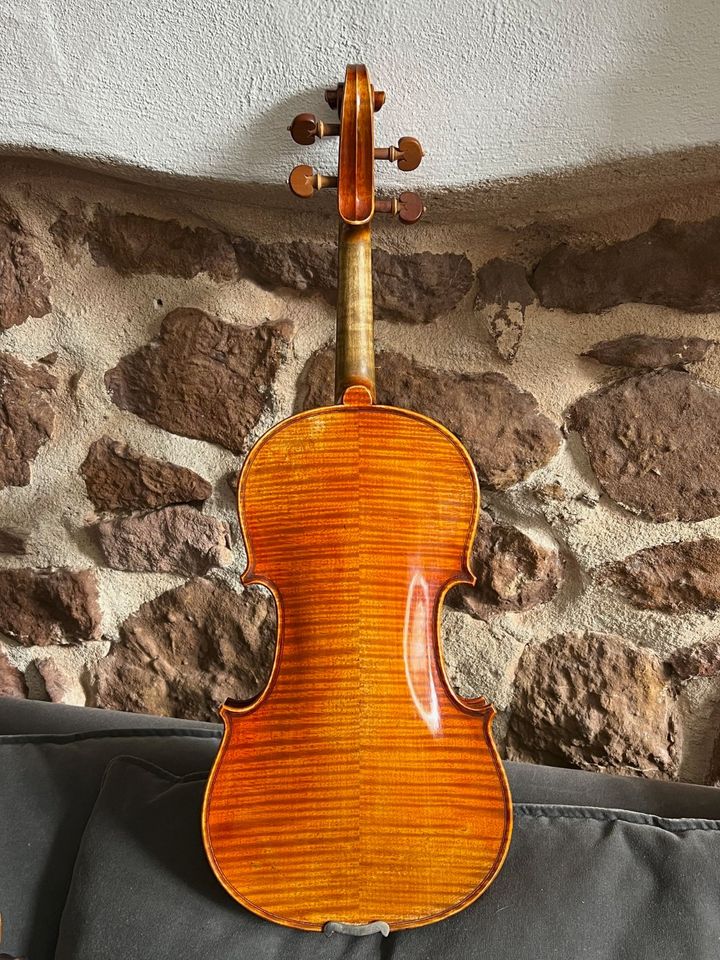 4/4 Solistengeige 'Atelier Amsterdam 3' Violine Geige Meisterhand in Freiburg im Breisgau