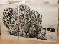 XXL Wandbild Leinwand 3-teilig Leopard 120x80cm Berlin - Reinickendorf Vorschau