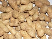 (Gp/kg4,20€)Erdnüsse ungeschält mit Schale 5kg Nordrhein-Westfalen - Herne Vorschau