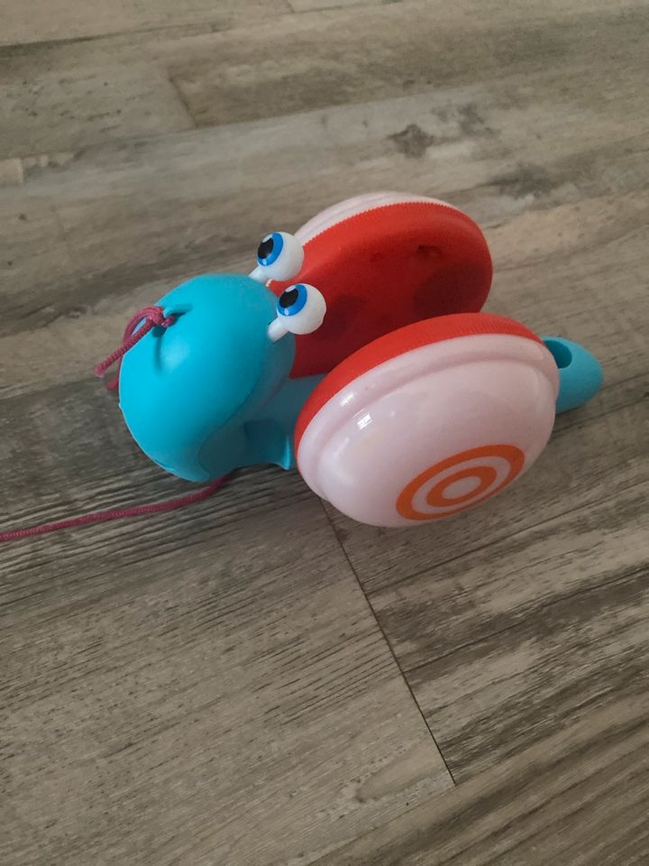 Snail Toy Schnecken Spielzeug Kleinkinder mit Melodie in Muldenstein