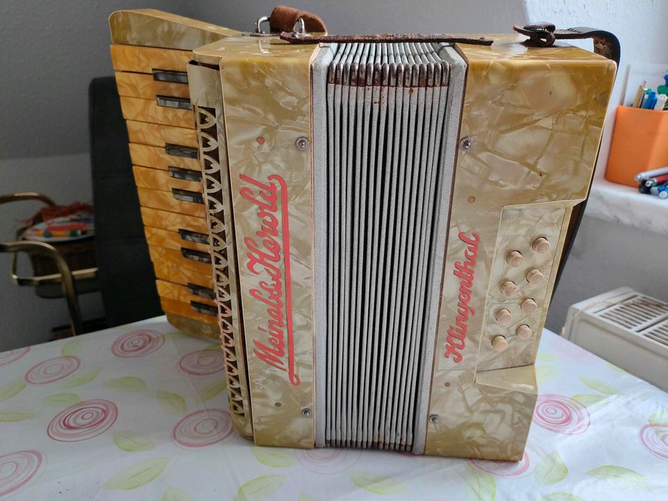 Akkordeon, Harmonika, Bandoneon von Meinel & Herold Klingenthal in Dresden