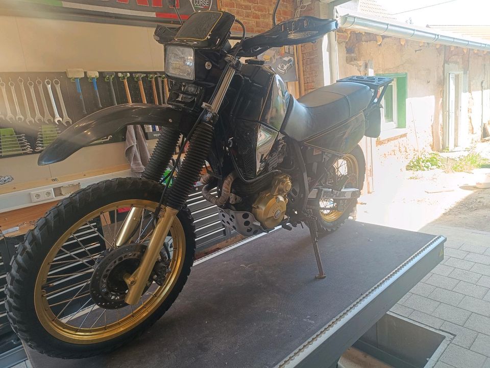 Honda xl600r PD04 in Krostitz