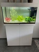 Juwel Rio 125Liter Aquarium + Unterschrank + Zubehör Nordrhein-Westfalen - Kaarst Vorschau