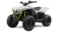 CFMOTO CFORCE EV110 Kinder Quad Elektro Rheinland-Pfalz - Alzey Vorschau