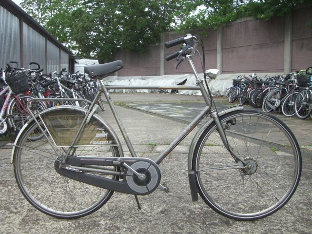 Hollandrad Gazelle RH 61cm in Bonn