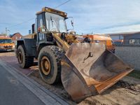 Hanomag 60E Radlader mit Standardschaufel.Guter Zustand Niedersachsen - Schneverdingen Vorschau