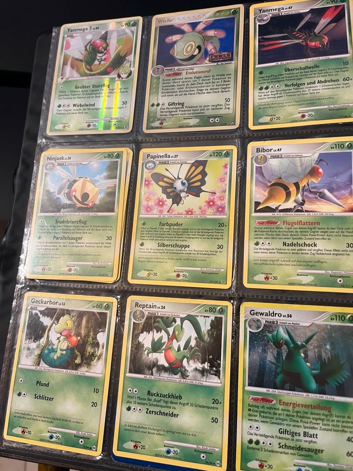 Pokemon Karten+8 Tinboxen und ein weiteres Album in Neuburg am Inn