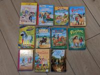 Diverse Bücher Kinder Jugenbuch Mädchen Ponys Einhorn Schule Niedersachsen - Winsen (Luhe) Vorschau