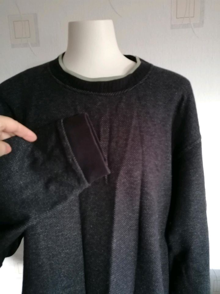 Herren Pullover Gr L in Hannover