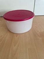 Tupperware Kuchenbehälter pink Sachsen - Markkleeberg Vorschau