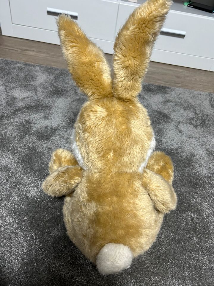 Brauner Hase Kuscheltier, Stofftier Bob der Bär in Hermeskeil