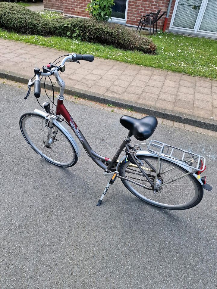 Damen Fahrrad in Steinfurt