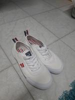 FILA Sneaker Gr. 38 Sachsen-Anhalt - Sandersdorf Vorschau