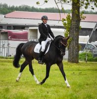 Dressurpferd Sachsen-Anhalt - Staßfurt Vorschau