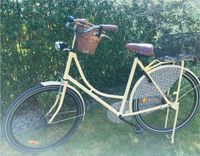 Sehr schönes Damen Holland Fahrrad Creme mit Leopard Hingucker 28 Nordrhein-Westfalen - Brakel Vorschau