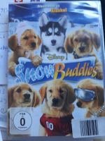 Snow Buddies, Disney Film auf DVD Hessen - Schauenburg Vorschau