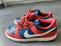 Nike Dunk Low Canyon Rust DD1503 602 "41" Sachsen-Anhalt - Magdeburg Vorschau