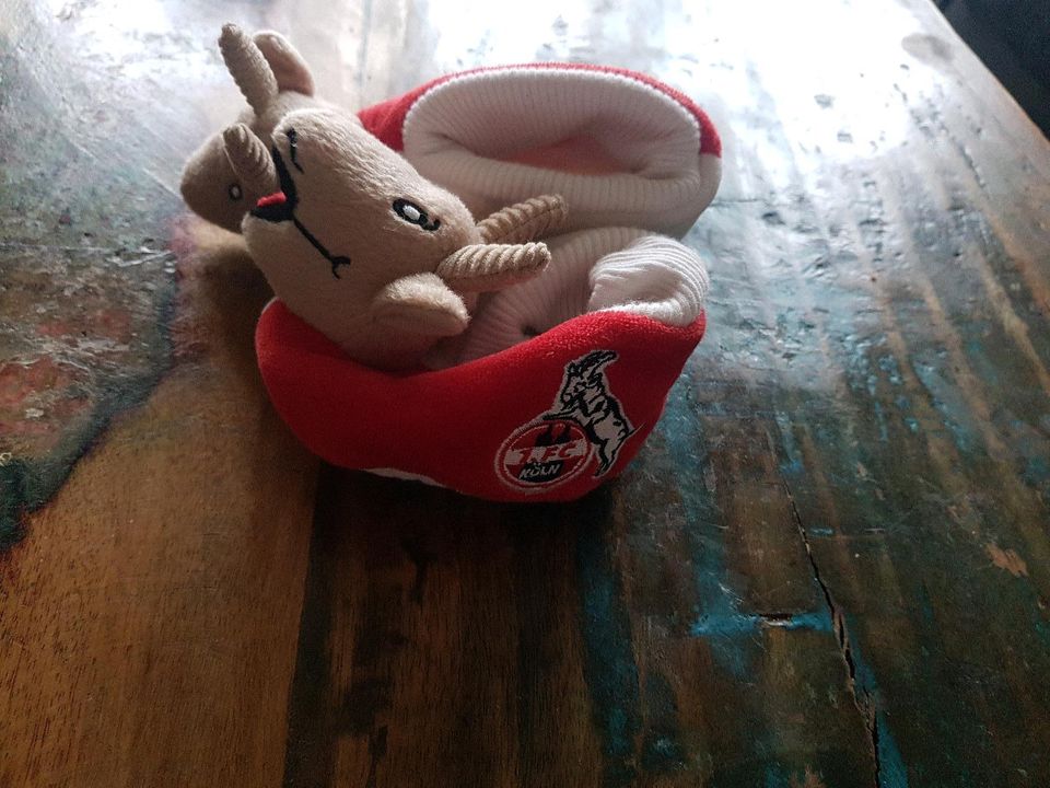 1.FC KÖLN Babyschuhe Krabbelschuhe in Köln