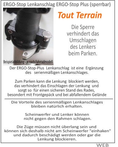 ✅ jetzt NOCH in 3 RH vorrätig ⚠️ #0067  Tout Terrain Silkroad Xplore 27,5" ⚠️ Pinion Expeditionsrad  ⚠️  TOP-Ausstattung ✅ in Schnelldorf