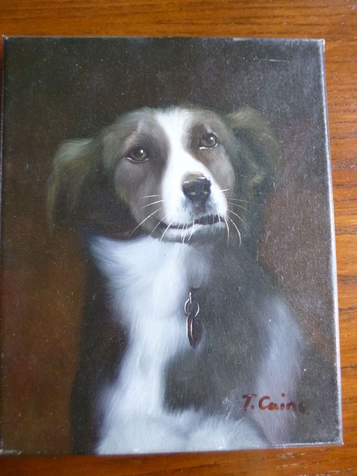 Australien Shepherd - Portrait / Hund verm. Acryl auf Leinwand in Bienenbüttel