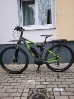 E Bike MTB 29 Zoll Bosch Cx Motor 500 Wh Bayern - Mainburg Vorschau