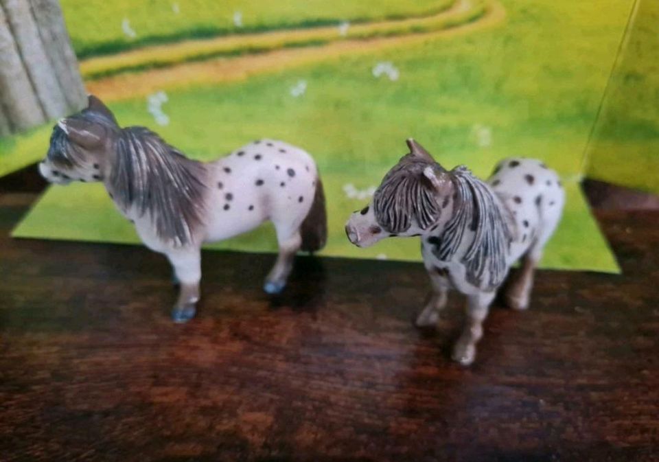 Schleich Falabella Pony Set 13278 in Meggerdorf