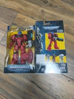 Warhammer 40k McFarlane Space Marine GW Nordrhein-Westfalen - Recklinghausen Vorschau