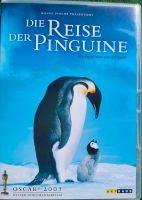 Die Reise der Pinguine DVD Baden-Württemberg - Ladenburg Vorschau