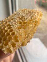 Suche nach einem Bienenstand / Imkerei Bayern - Augsburg Vorschau