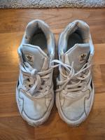 Adidas Falcon Nürnberg (Mittelfr) - Oststadt Vorschau