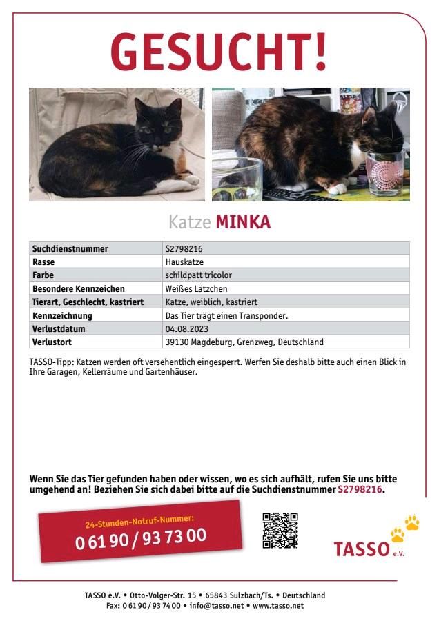 Unsere Katze Minka in Magdeburg