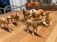 Schleich Pferde Haflinger 6 Stk. Findorff - Findorff-Bürgerweide Vorschau