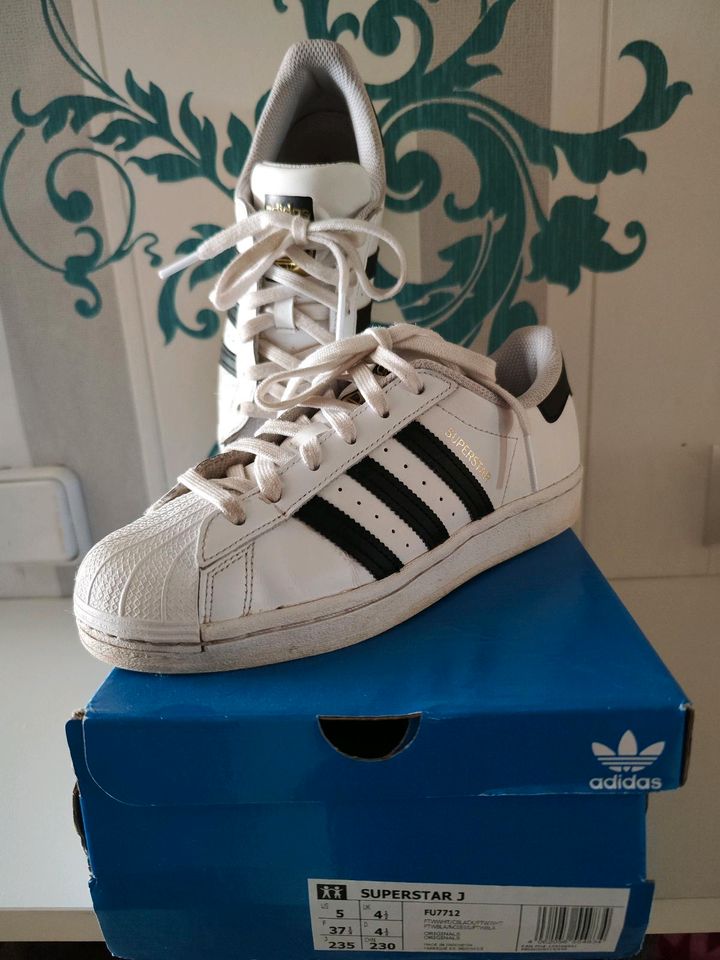 Adidas Superstar Gr. 37 in Hessen - Wölfersheim | eBay Kleinanzeigen ist  jetzt Kleinanzeigen