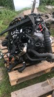 BMW E87 E90 E91 E60 E61 120 320 520 N47D20A 2.0 MOTOR KOMPLETT Brandenburg - Hennigsdorf Vorschau