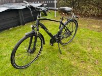 Verkaufe ein 28 Zoll Raymon Herrenrad RH:54cm Brandenburg - Oranienburg Vorschau