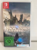 Hogwarts Legacy Schleswig-Holstein - Schmalfeld Vorschau