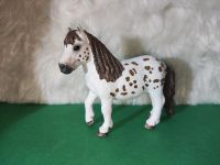 Schleich Shetland Pony Spotty aus Set 42518, Pferd Figur Nordrhein-Westfalen - Niederkassel Vorschau
