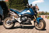 Honda MSX 125 scheckheftgepflegt 1. Hand inkl. Navi TomTom Rider Rheinland-Pfalz - Wachenheim an der Weinstraße Vorschau