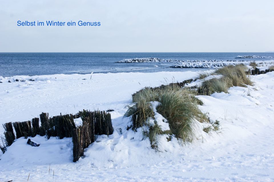 Sonnige Ferienwohnung mit Hund WR Balkon Ostsee 200m Wendtorf ab in Wendtorf