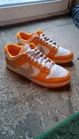 Nike Dunk 42,5 Bayern - Schonungen Vorschau