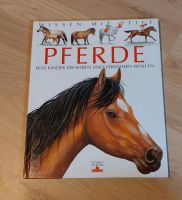 Pferde - was Kinder erfahren und verstehen wollen Bayern - Mainleus Vorschau