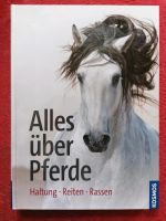 Pferde Haltung Reiten Rassen Kauf Sachsen - Thum Vorschau