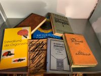 Alte Bücher 2 Sachsen - Zschorlau Vorschau