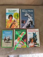 Kinderbücher Thema Pferde 60er/70er Jahre Berlin - Schöneberg Vorschau