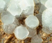 Mineralien Marmortagebau Calcit Hammerunterwiesenthal Erzgebirge Sachsen - Sehmatal-Cranzahl Vorschau