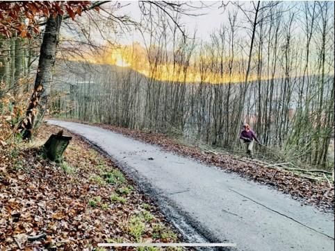 INKLUSIVE Grundstück: Ihr Bungalow mit hohem Komfort in Hannoversch Münden in Hann. Münden