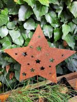 Stern als Gartenstecker Weihnachten Edelrost Rost Dekoration Bayern - Eltmann Vorschau