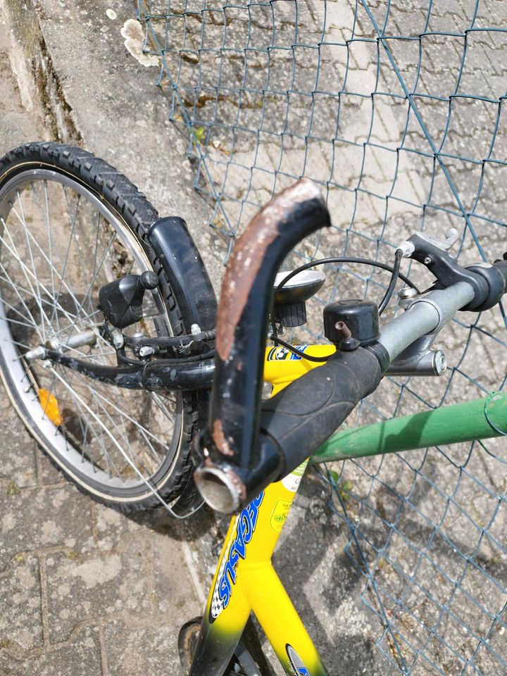 1 Kinder Fahrrad 24 Zoll Pegasus in Darmstadt