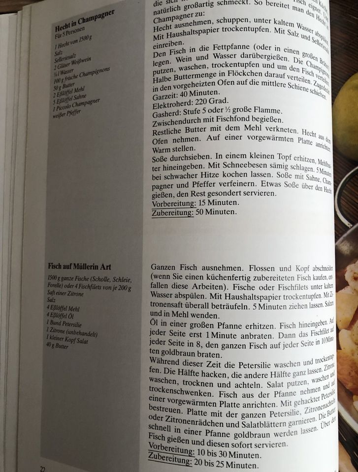 B 969 - Die gute Küche - Fisch - Kochbuch in Schleiden